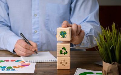 Sustentabilidade nas empresas: estratégias para um futuro mais verde